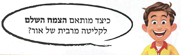 (בספר איור:)